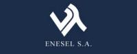 Enesel's picture